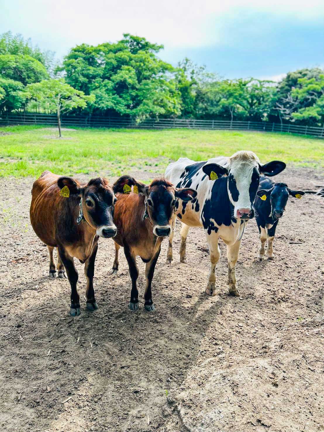 こだわりのイメージ