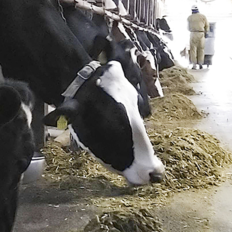 サービスのイメージ